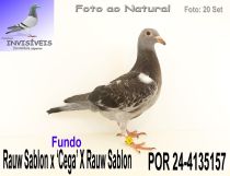 POR 24-4135157